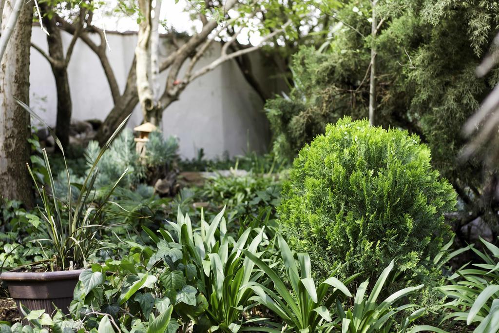 @The Villa Guest House Bloemfontein Exterior photo